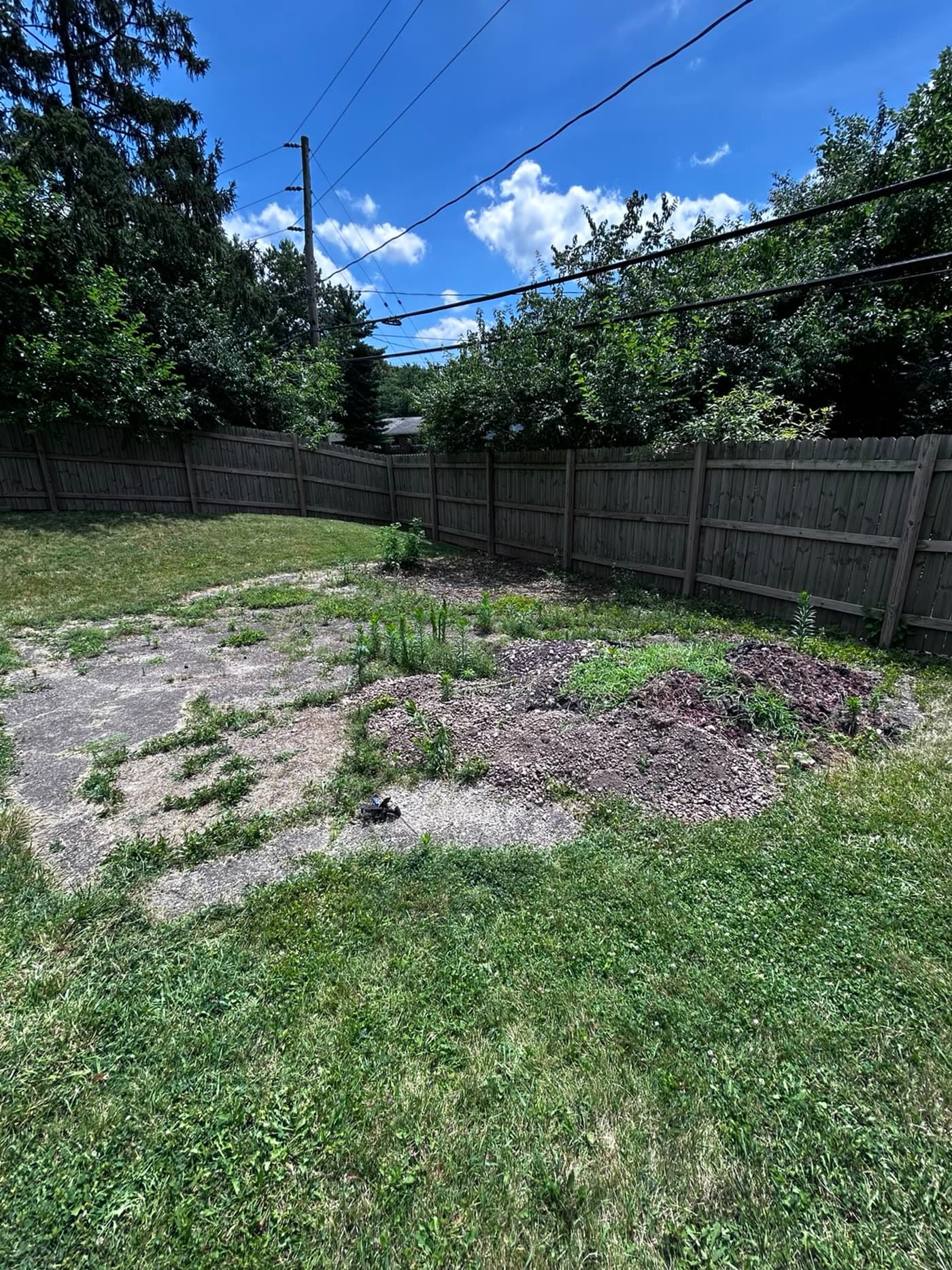 Overgrown backyard with debris piles before cleanup