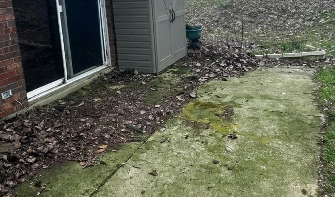 Mossy patio brought back to life — before